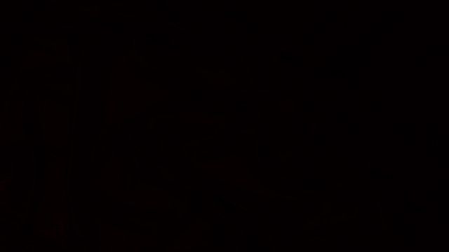 PS2324_G1_F2_STF4mp4